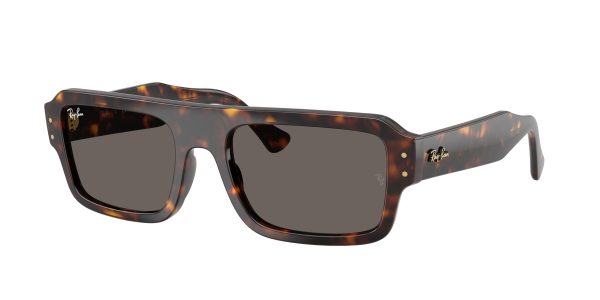 Ray-ban Lukas RB4454F