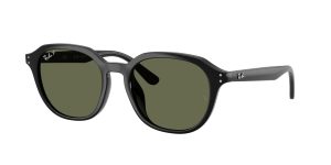 rayban_0rb4459d_901_9a_black_polarized_ref