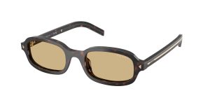 prada_0pr_d06s_17n70r_root_tortoise_ref
