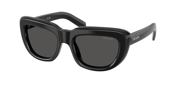 Prada  PR D07S