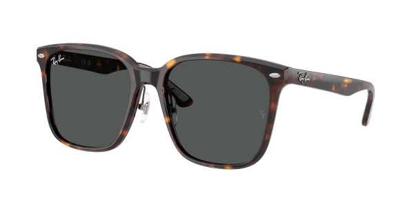 Ray-ban  RB2206D