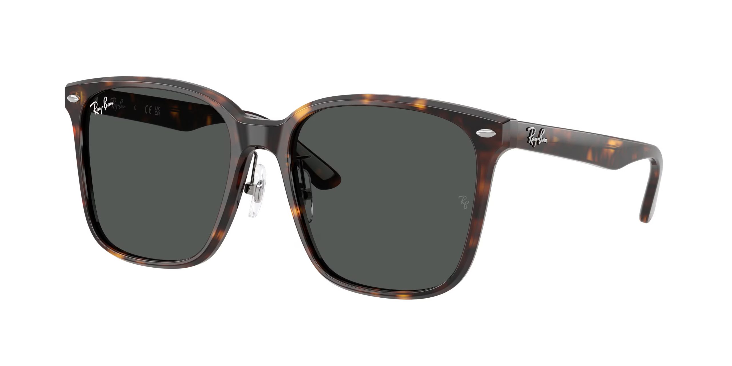 Ray-ban  RB2206D