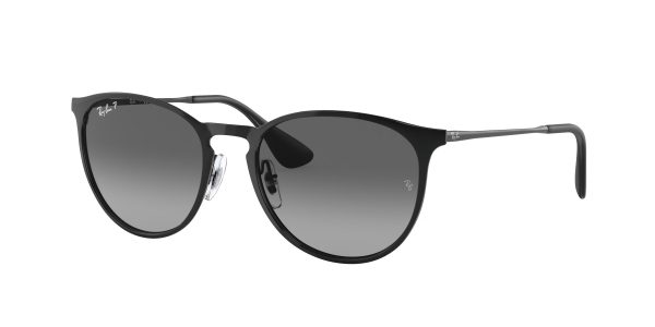 Ray-ban Erika Metal RB3539
