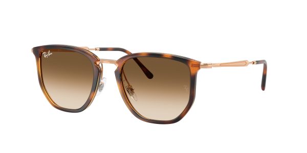 Ray-ban  RB4451