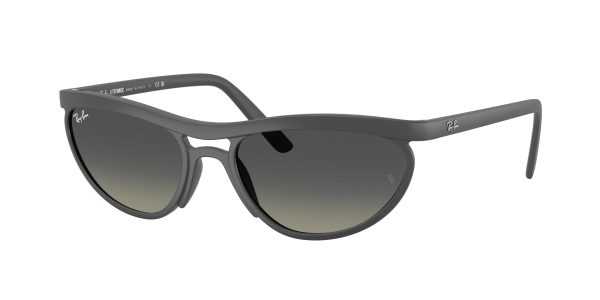 Ray-ban  RB4453