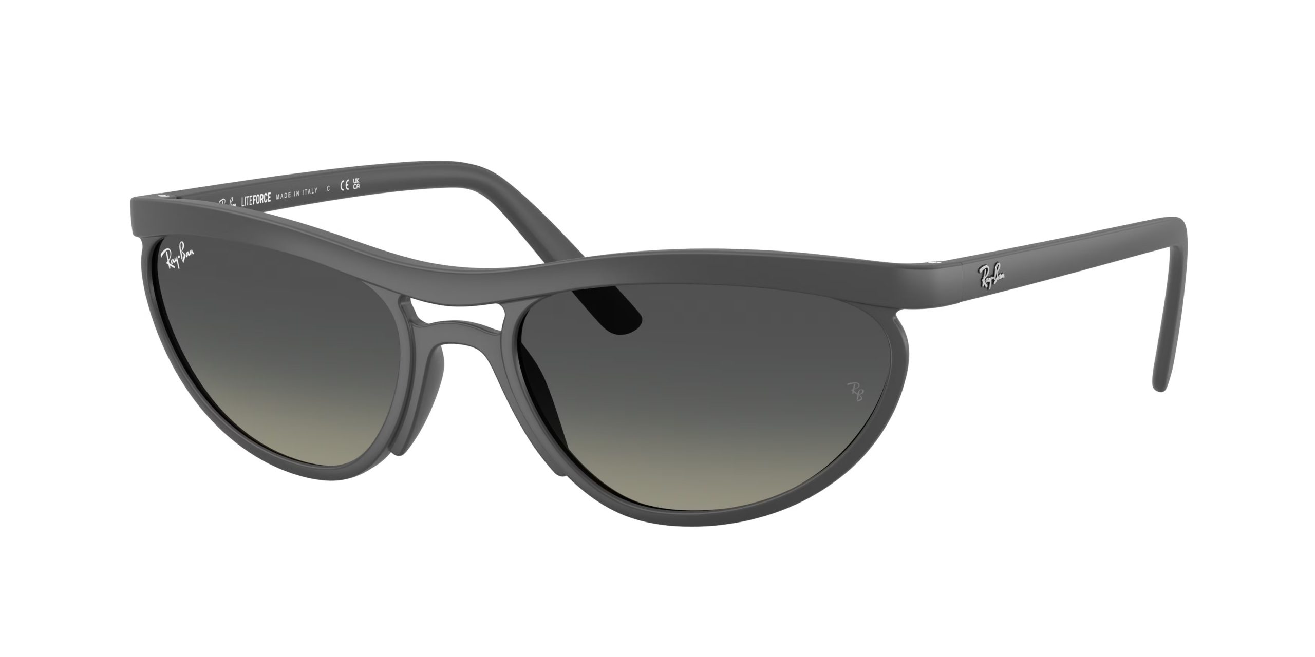Ray-ban  RB4453