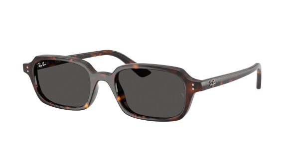 Ray-ban Zuri RB4455F