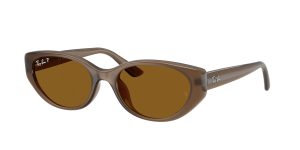 rayban_0rb4457d_677983_transparent_brown_polarized_ref