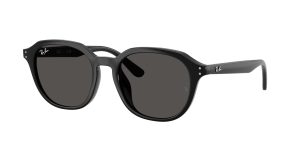 rayban_0rb4459d_901_87_black_ref