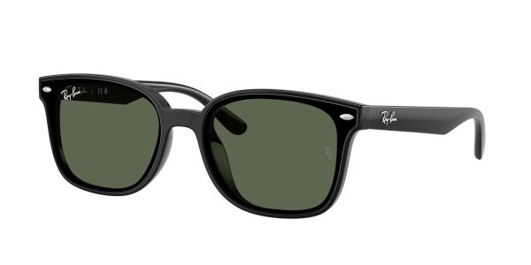 Ray-ban  RB4461D