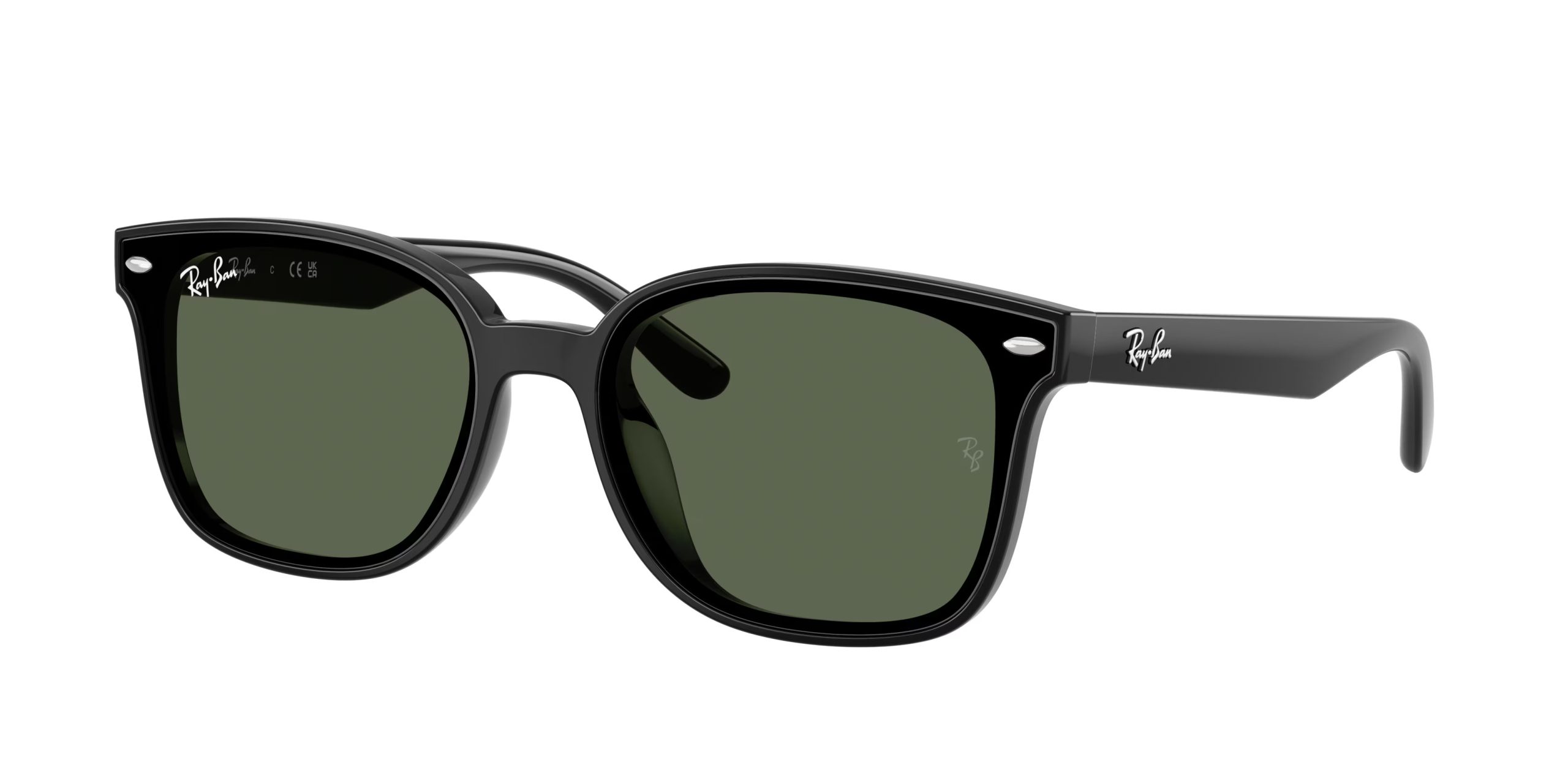 Ray-ban  RB4461D