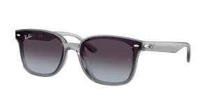 rayban_0rb4461d_64508g_transparent_grey_ref