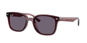 rayban_0rb4461d_659373_transparent_dark_brown_ref