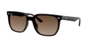 rayban_0rb4466d_714_13_transparent_dark_brown_ref