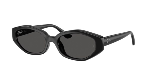 Ray-ban  RB4473D