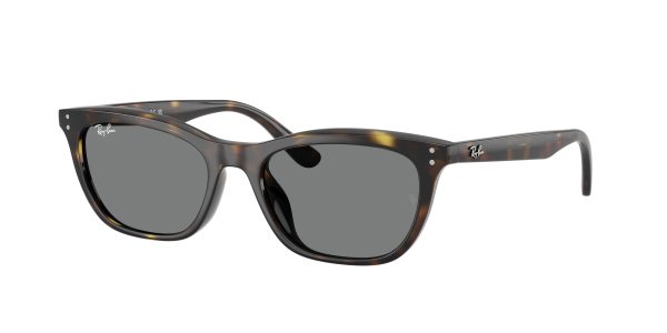 Ray-ban  RB4474D