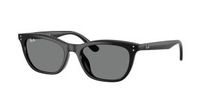 rayban_0rb4474d_901_87_black_ref