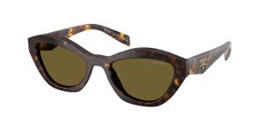 prada_0pr_a02s_17n09z_root_tortoise_ref