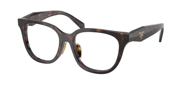 Prada  PR C11VF