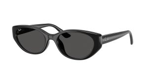 rayban_0rb4457d_667787_black_ref