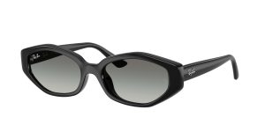 rayban_0rb4473d_667711_black_ref