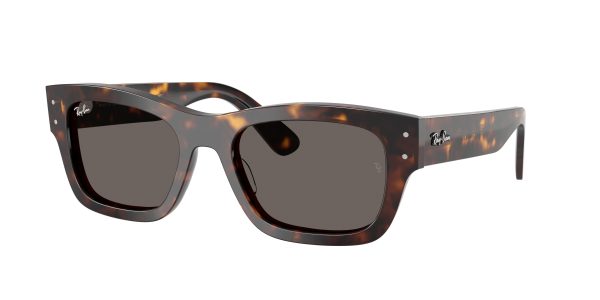 Ray-ban Joseph RB7683S