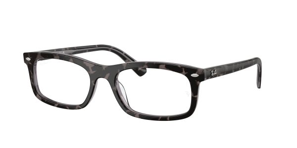 Ray-ban  RX5450