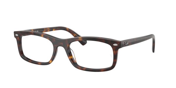 Ray-ban  RX5450F