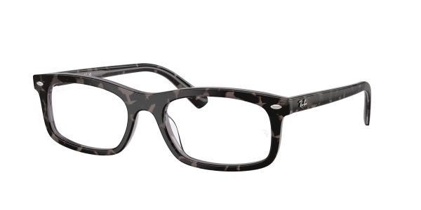 Ray-ban  RX5450F