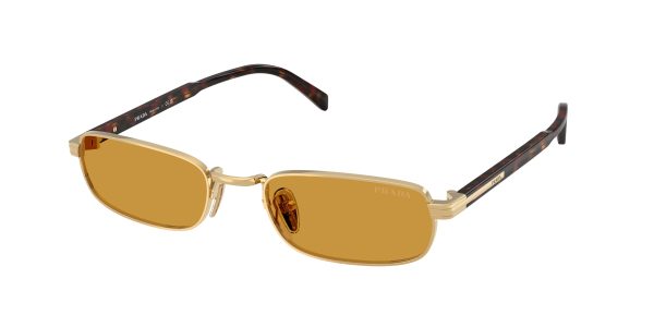 Prada  PR B54S