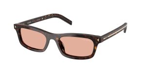 prada_0pr_d05sf_17n50w_root_tortoise_ref