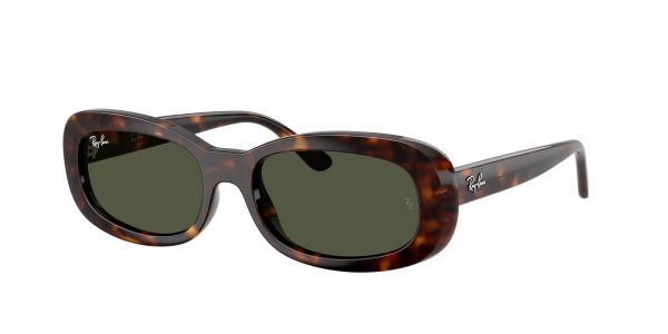 Ray-ban  RB2221F