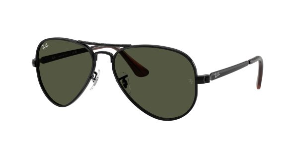 Ray-ban Aviator Max RB3925