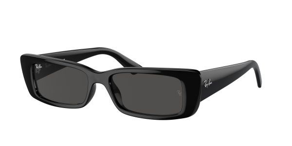 Ray-ban Teru RB4425F