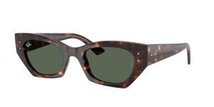 rayban_0rb4430_135971_havana_ref