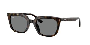 rayban_0rb4439d_710_87_havana_ref
