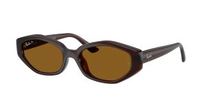 rayban_0rb4473d_714_83_dark_brown_polarized_ref