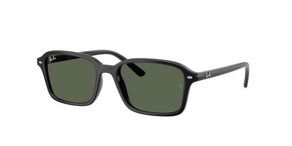 Ray-ban  RJ9131S